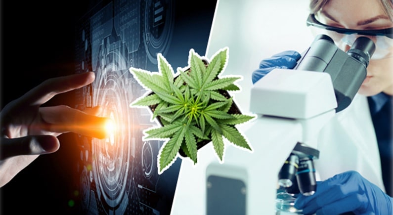 [WATCH] VIVO and CB2 Insights enter new partnership