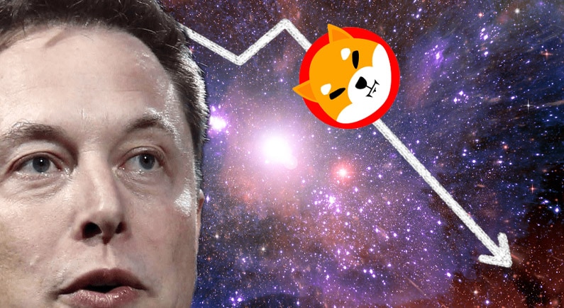 The Dogefather and the lost son – SHIB plummits after Musk tweets
