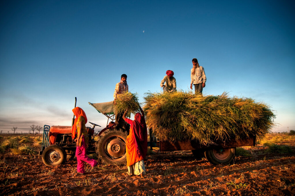 Indian Farmers Daven Michaels