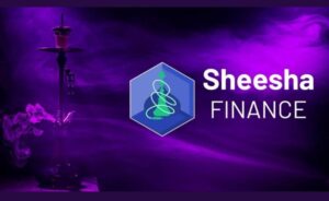 sheesha-finance venture