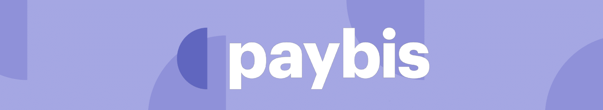 Paybis Review