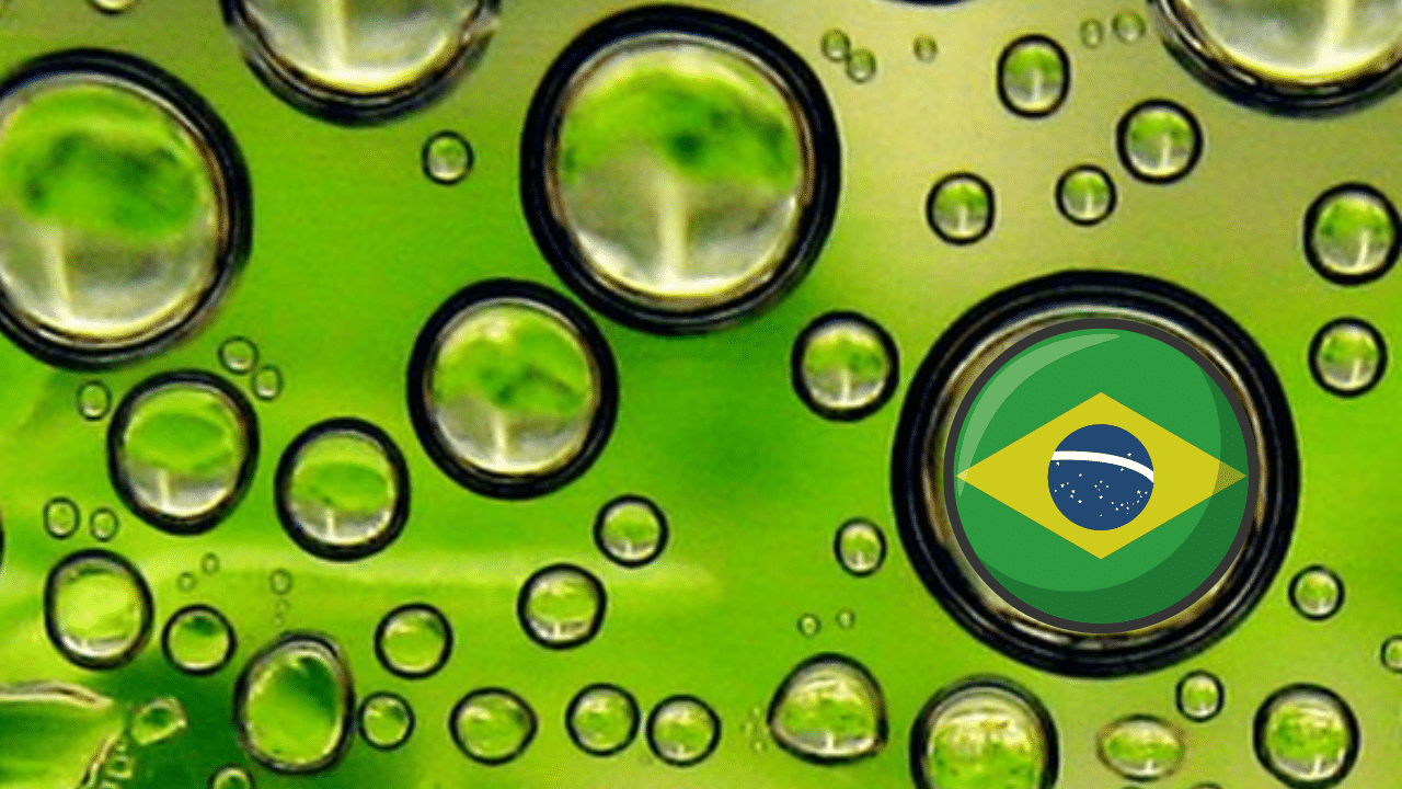 Emirati energy company invests $2.4 billion in Brazil's biofuels technology