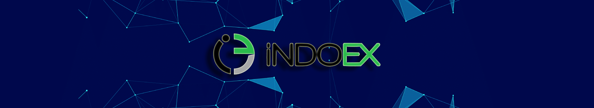 IndoEx Review