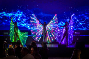 Dazzling LED displays accompanied by the remarkably versatile O Show performers in action