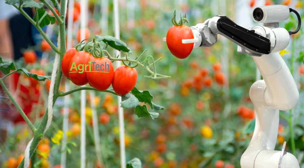 Thailand's plan for 10,000 agri-tech startups by 2027