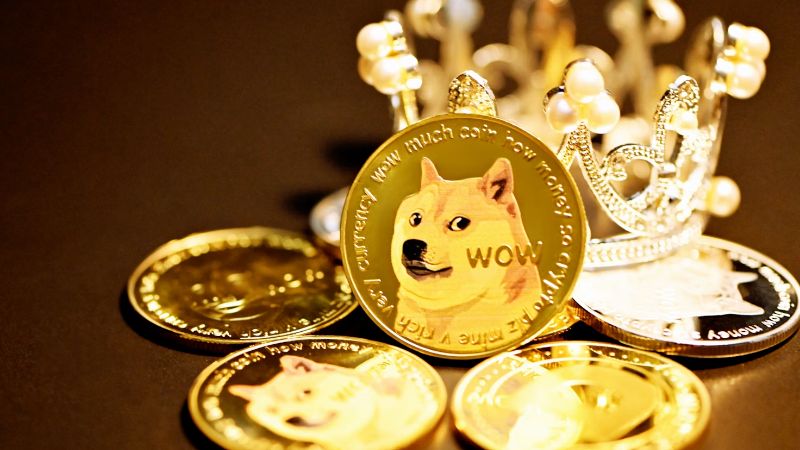 The rise of Shiba Inu: Exploring the factors behind June’s surprising turnaround