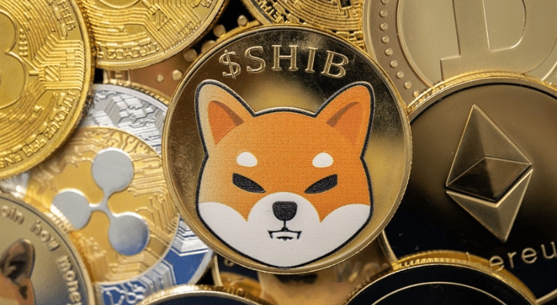 Shiba Inu team forecasts Altcoin season